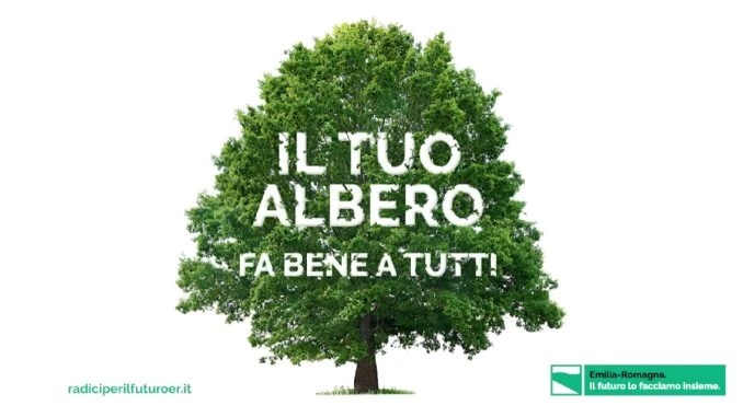 il tuo albero fa bene